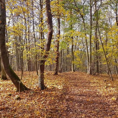 Gemuetliche Ferienwohnung Am Ortsrand Kreuzwertheim Buitenkant foto